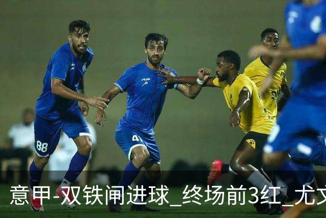 意甲-双铁闸进球 终场前3红 尤文2球落后2-2战平